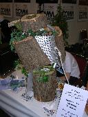 Bild Nr. 28 von 79