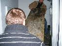 Bild Nr. 3 von 29
