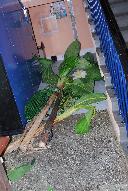 Bild Nr. 26 von 78