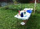 Bild Nr. 29 von 34