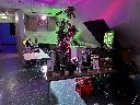 Bild Nr. 11 von 202